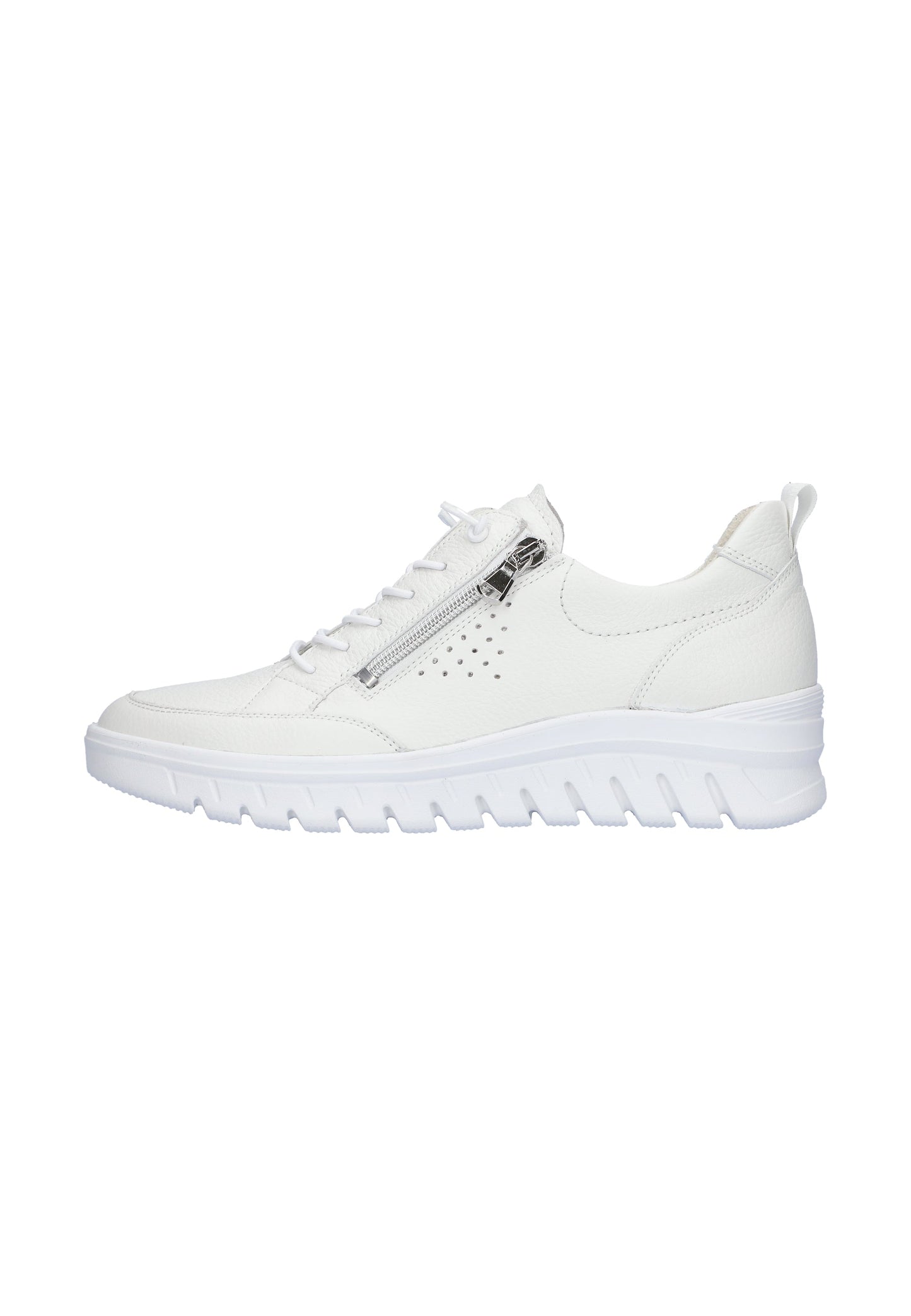 Damen - Sneaker - Steinick Schuhe