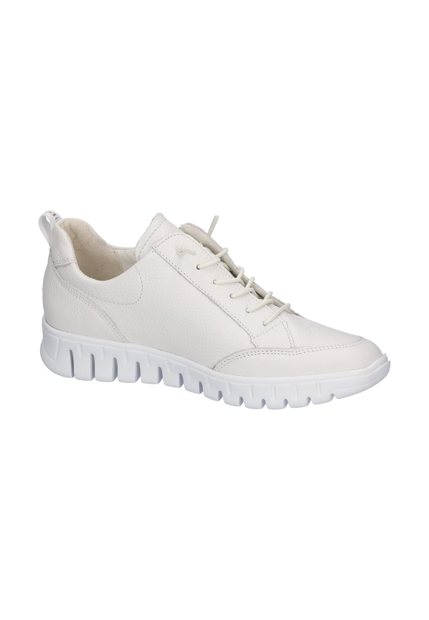 Damen - Sneaker - Steinick Schuhe