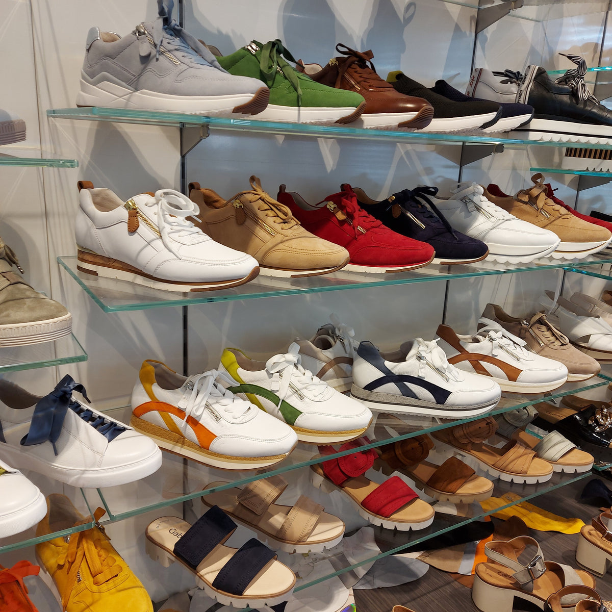Steinick Schuhe-Geschenkgutschein - Steinick Schuhe